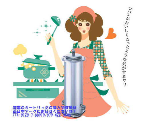 コスモクリーン MSN-W21 浄水器カートリッジ