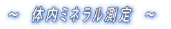 ̓~l@fgbNX@r